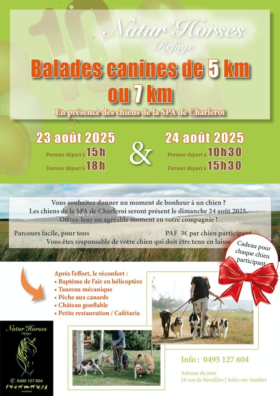balades-canines