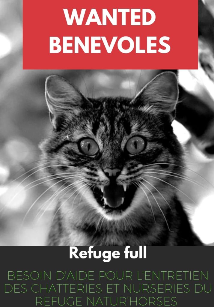 wanted-benevoles